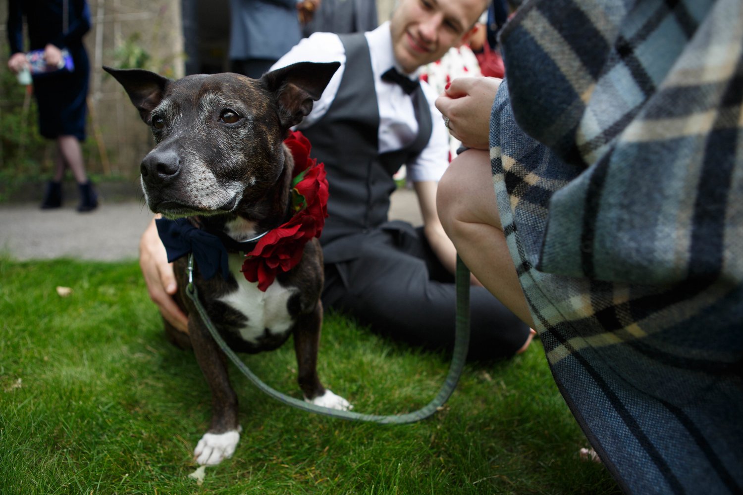 Ruth and Mike's wedding - by Lucy Lamb